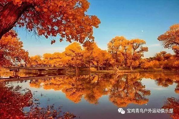 格斗巅峰大作战1.1
